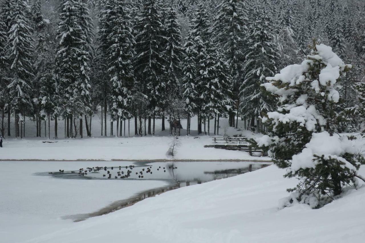 Apartment Maya Kranjska Gora Dış mekan fotoğraf